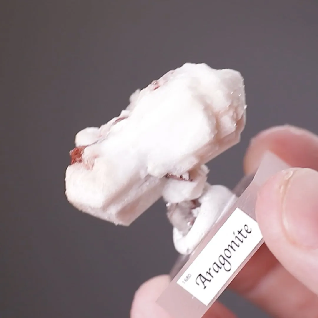 Aragonite var. TARNOWITZITE - image 2