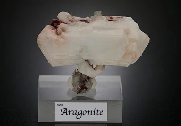 Aragonite var. TARNOWITZITE image