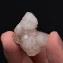 Aragonite var. Tarnowizite - image 2