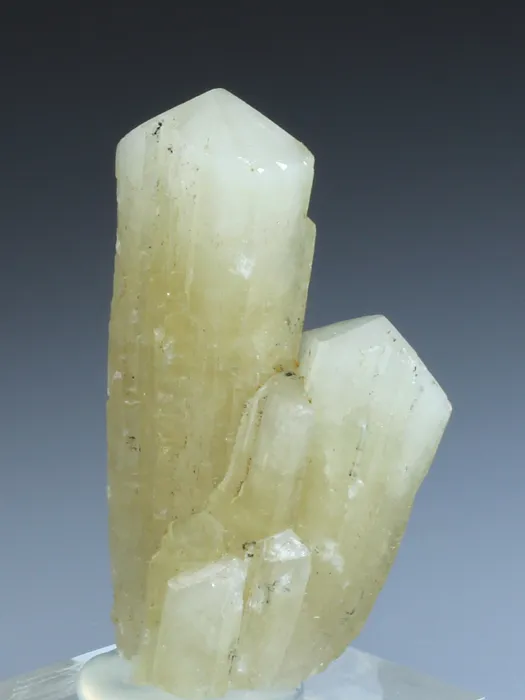 Aragonite variety TARNOWITZITE - image 1