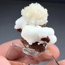 Aragonite with Calcite (1965) - image 2