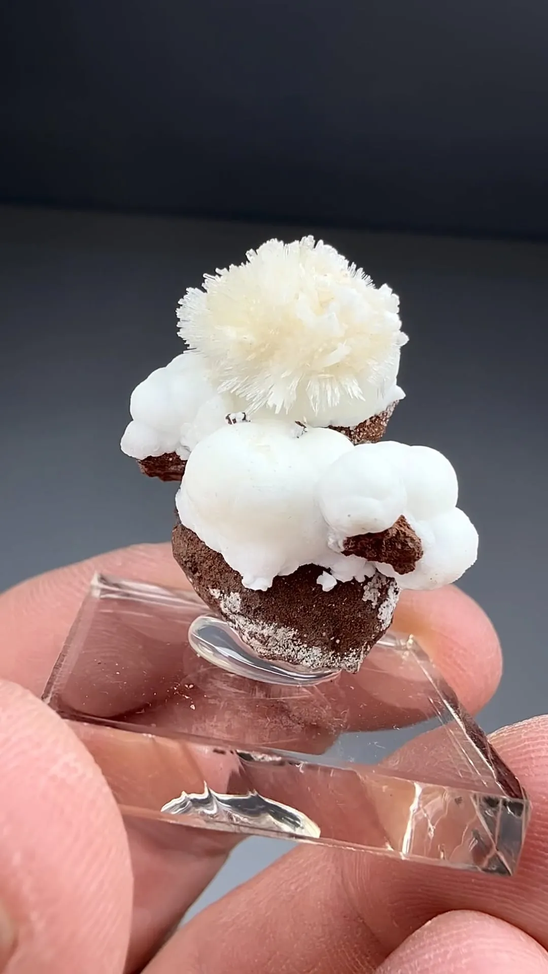 Aragonite with Calcite (1965) - image 2