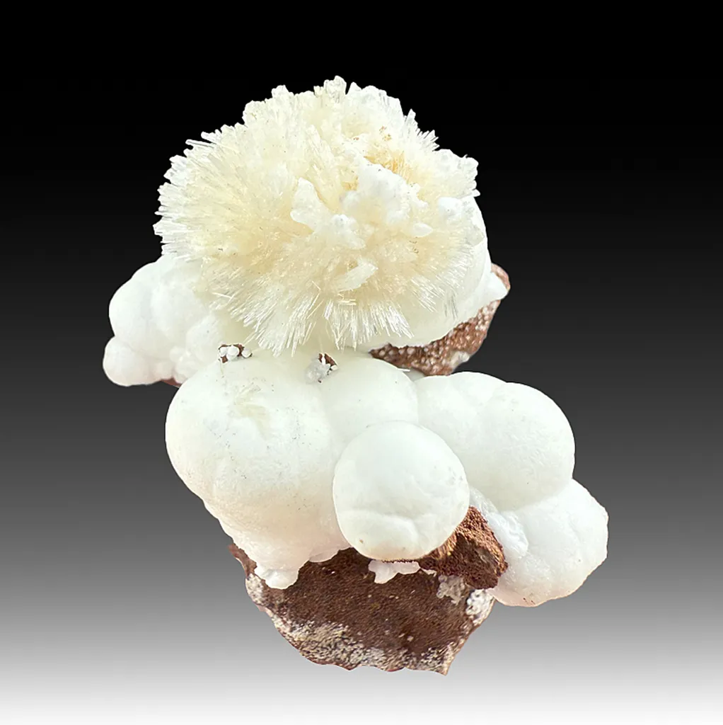 Aragonite with Calcite (1965) image