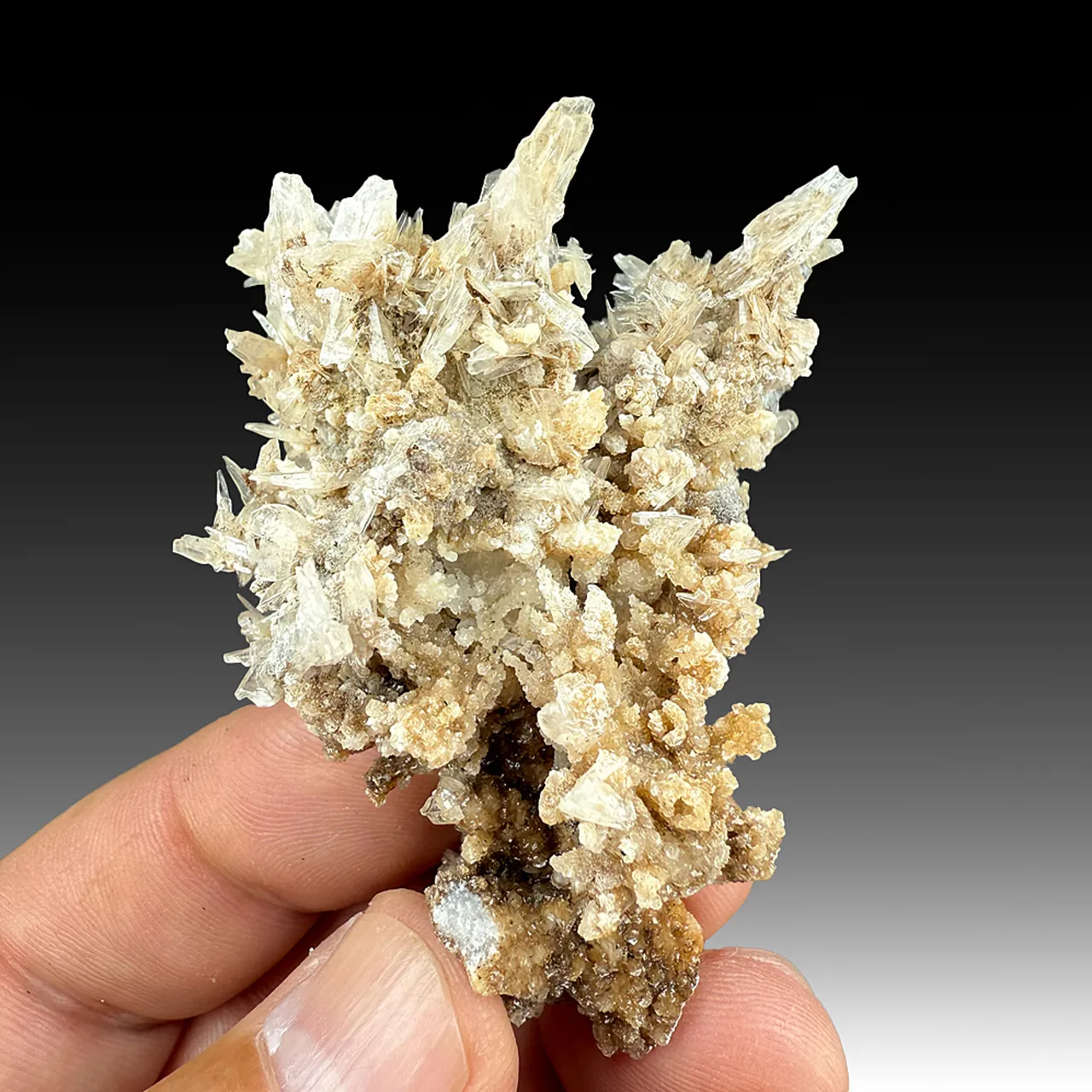 Aragonite with Calcite - image 1