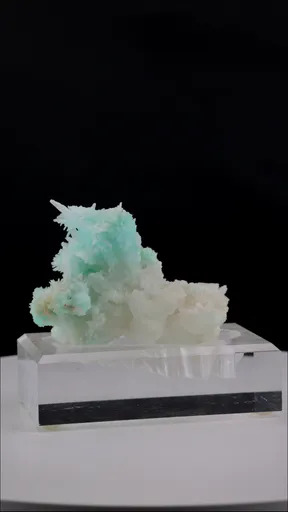 specimen video