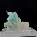 specimen video