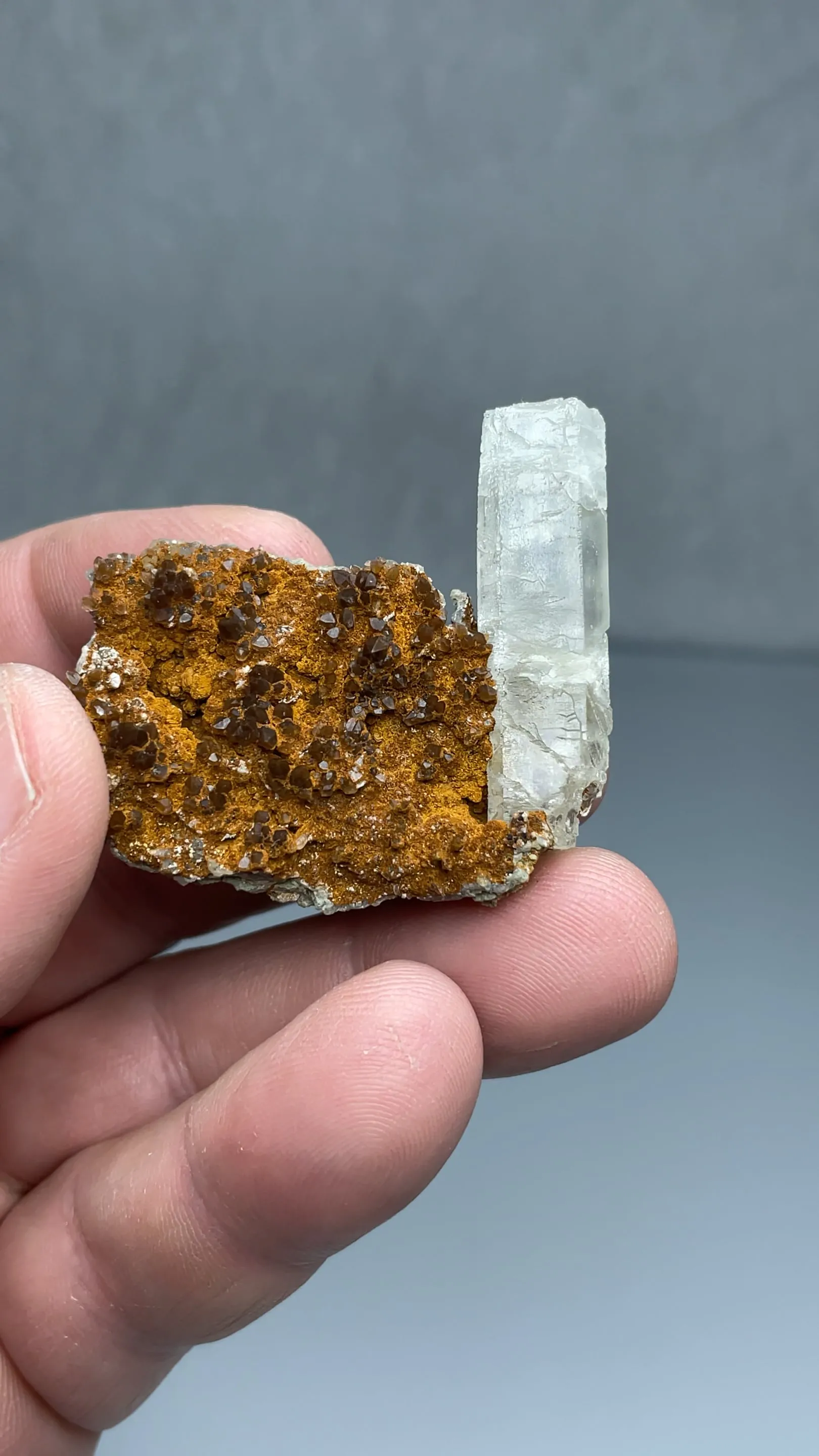 Aragonite with Quartz, Hematite - image 2