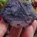 specimen video