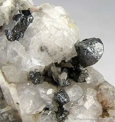 Argentite on Calcite - image 2