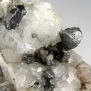 Argentite on Calcite - image 2
