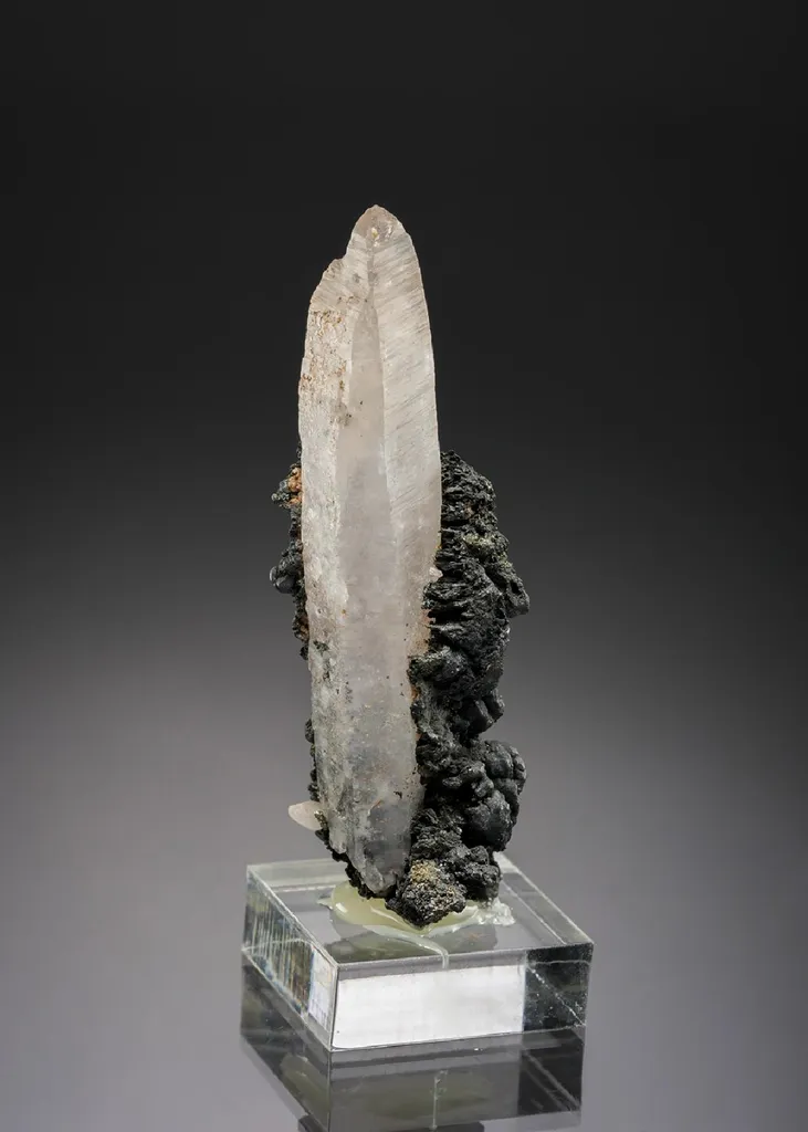 Argentite on Quartz image