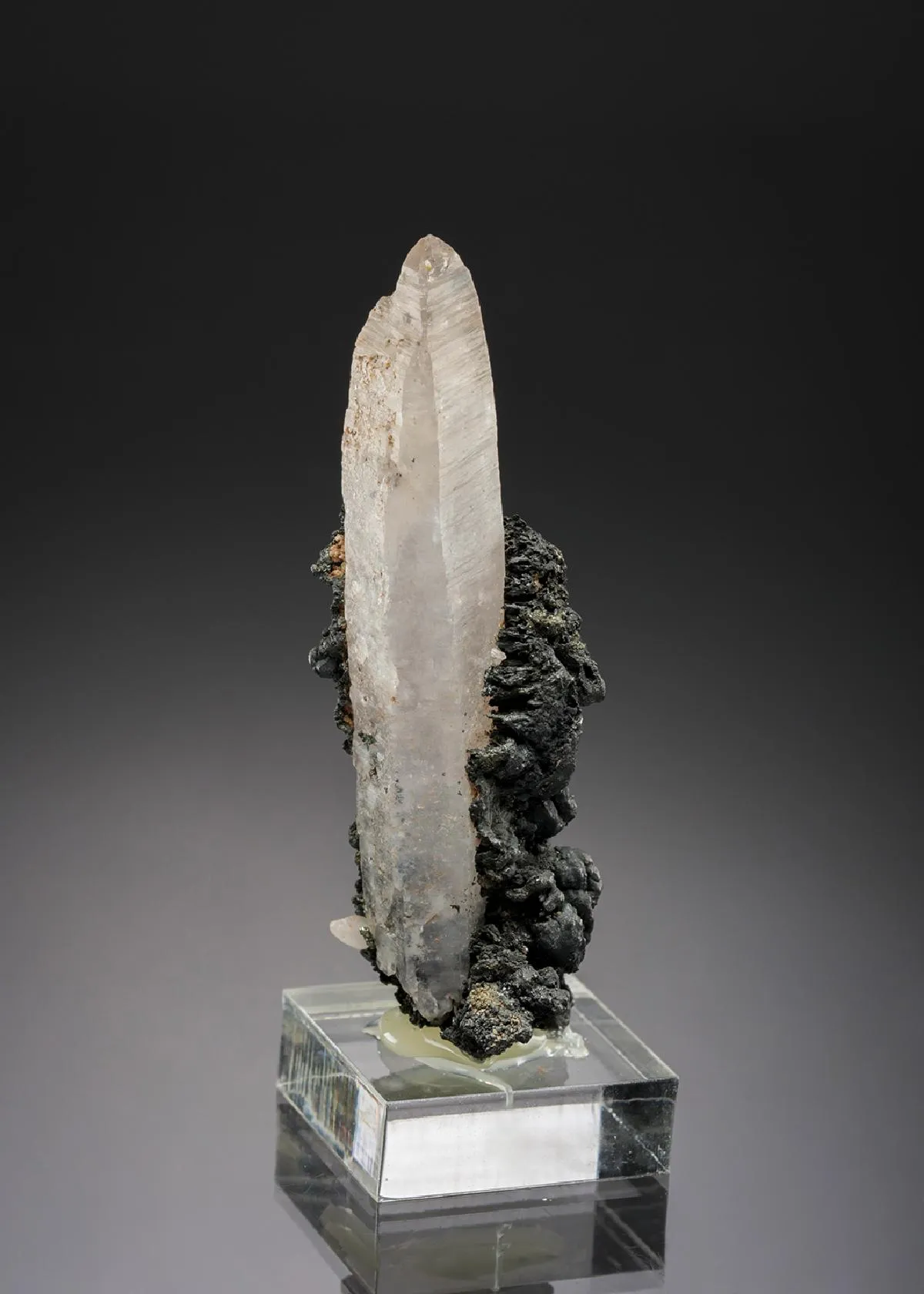 Argentite on Quartz - image 1