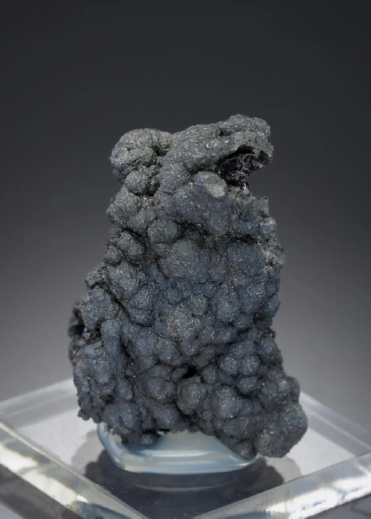 Argyrodite with Polybasite - image 1