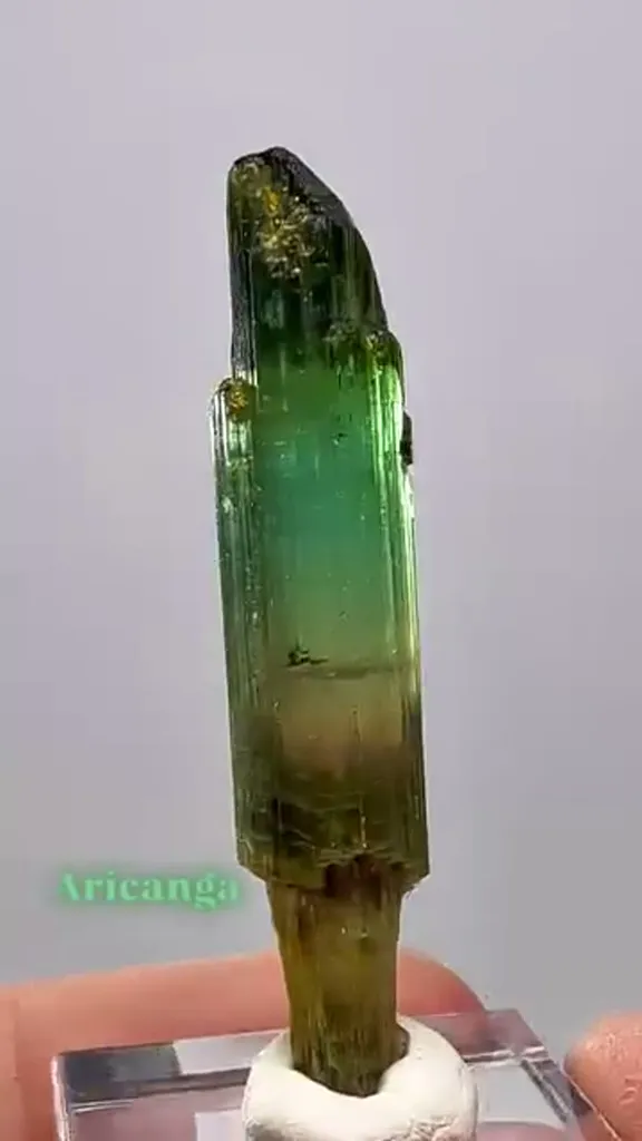 Aricanga Scepter Tourmaline image