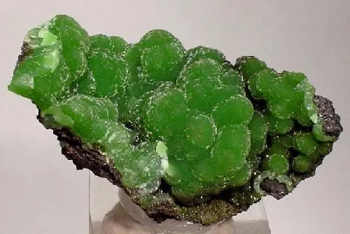 Arsendescloizite image