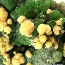 Arsendescloizite with Mimetite - image 5