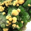 Arsendescloizite With Mimetite - image 2