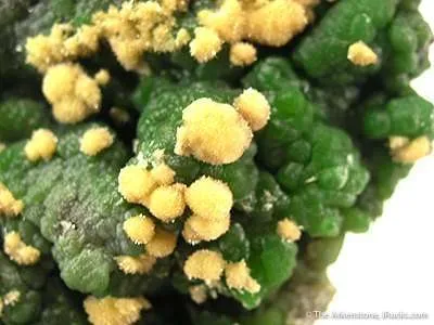 Arsendescloizite With Mimetite - image 2