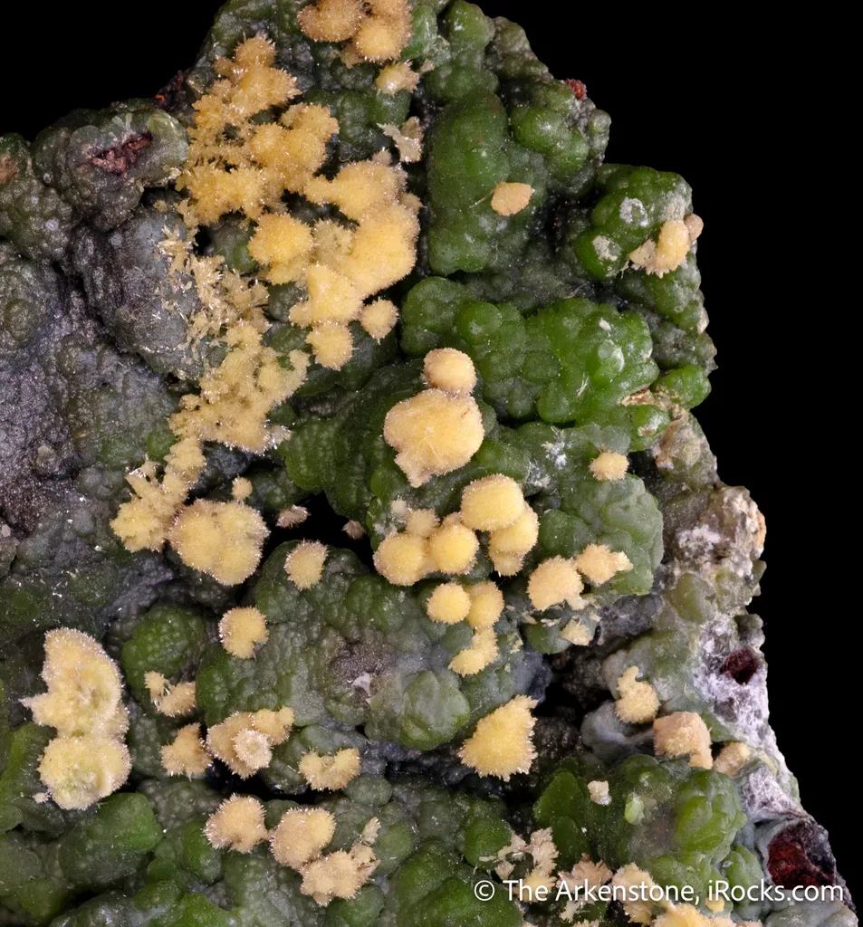 Arsendescloizite with Mimetite - image 4