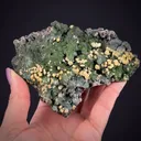 Arsendescloizite with Mimetite - image 1