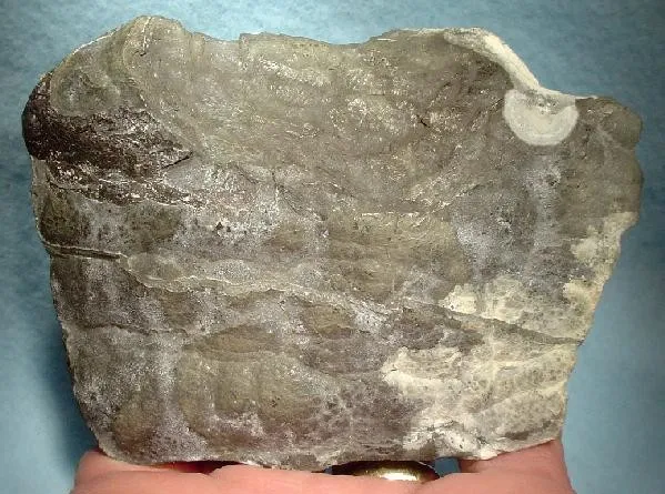 Arsenic image