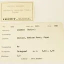 Arsenic - image 2