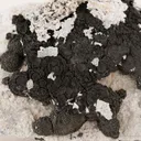 Arsenic - image 2