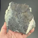 Arsenic with Silver - image 2