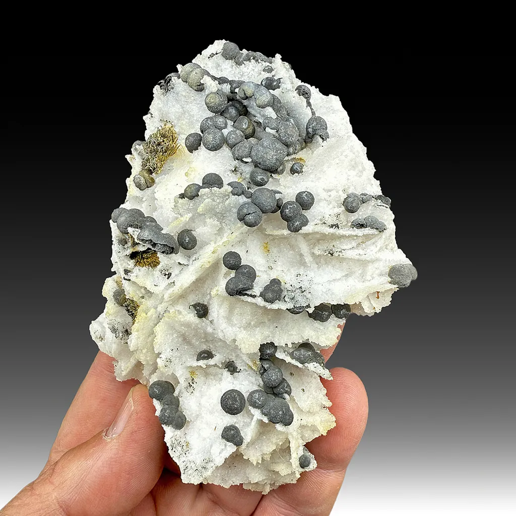 Arsenic with Stibnite, Quartz image