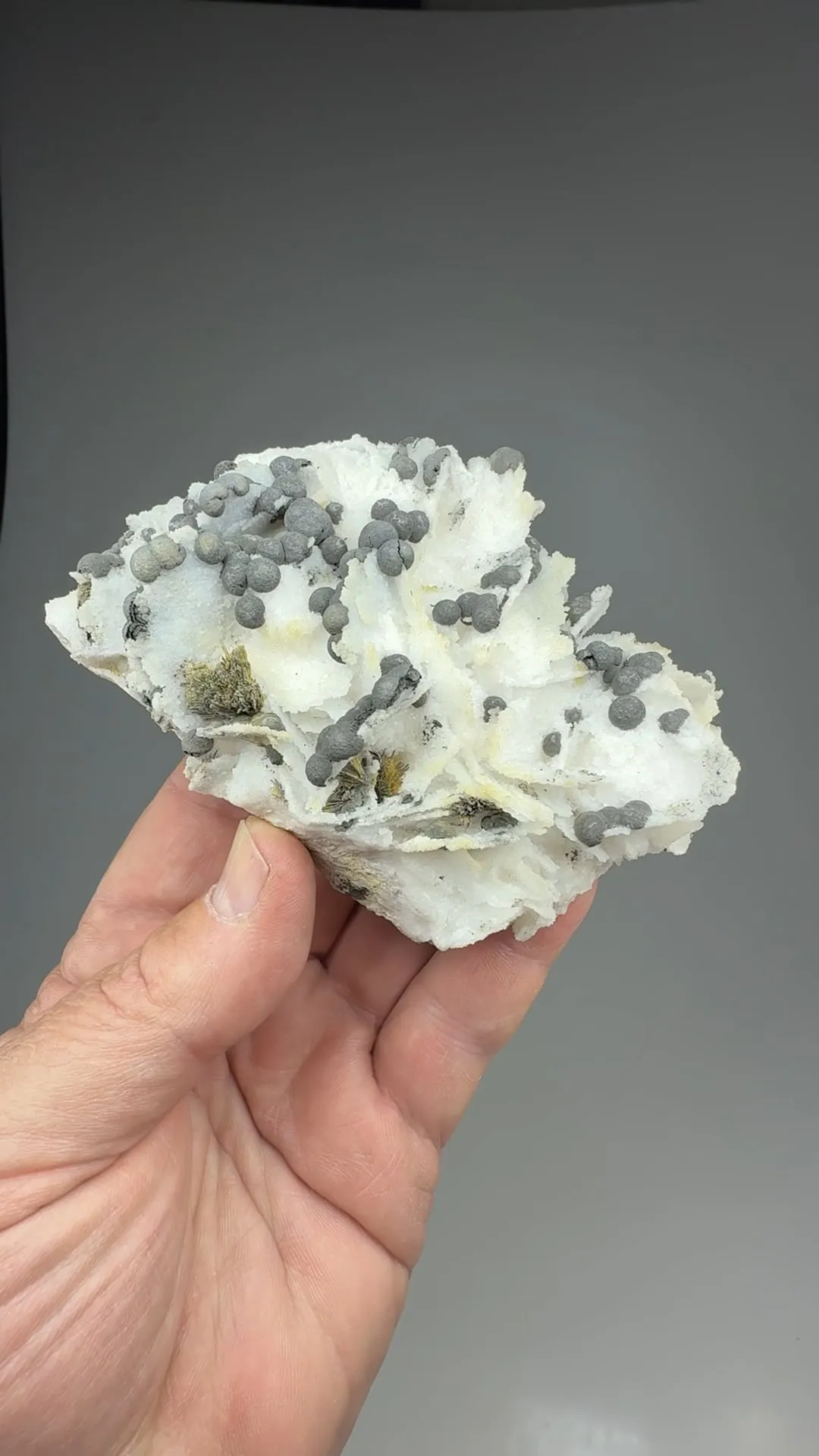 Arsenic with Stibnite, Quartz - image 2