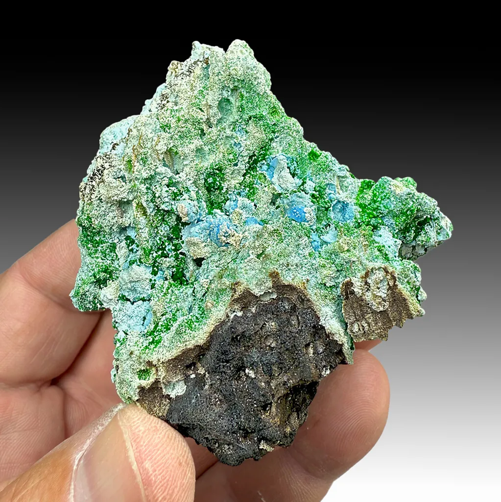 Arsenocrandallite with Conichalcite image