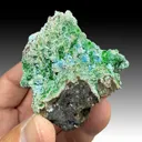 Arsenocrandallite with Conichalcite - image 1