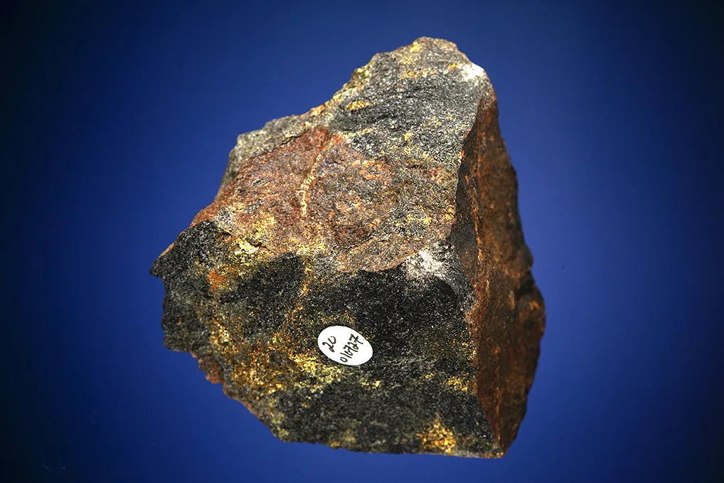 Arsenohauchecornite in Chalcopyrite - image 3
