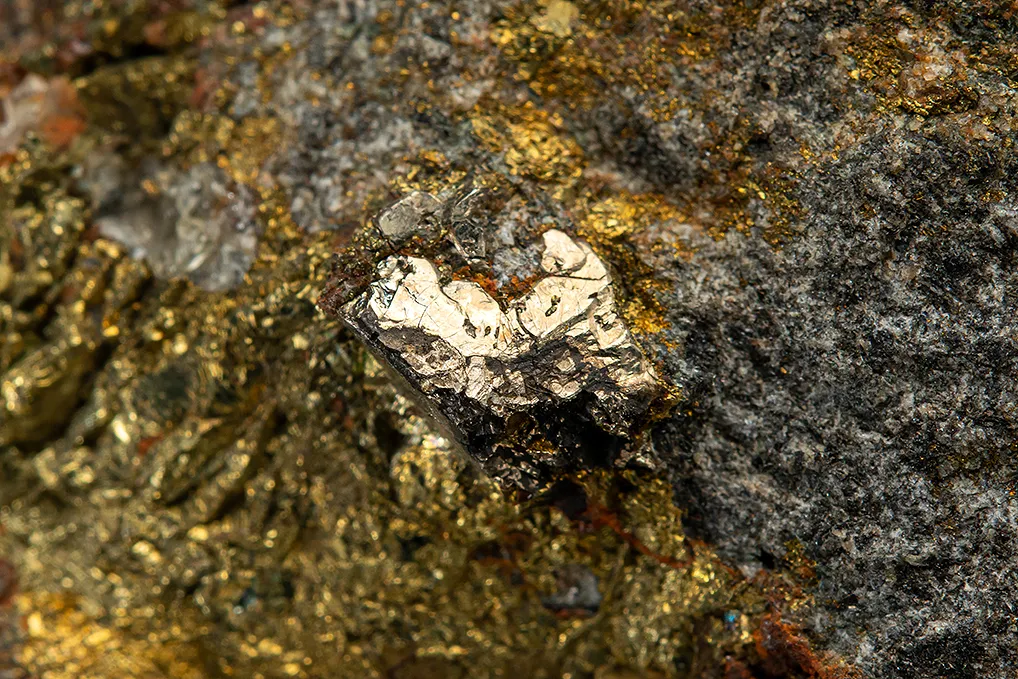 Arsenohauchecornite in Chalcopyrite - image 2