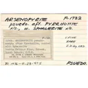 Arsenopyrite after Pyrrhotite - image 6