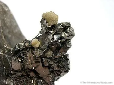 Arsenopyrite on Quartz - image 2