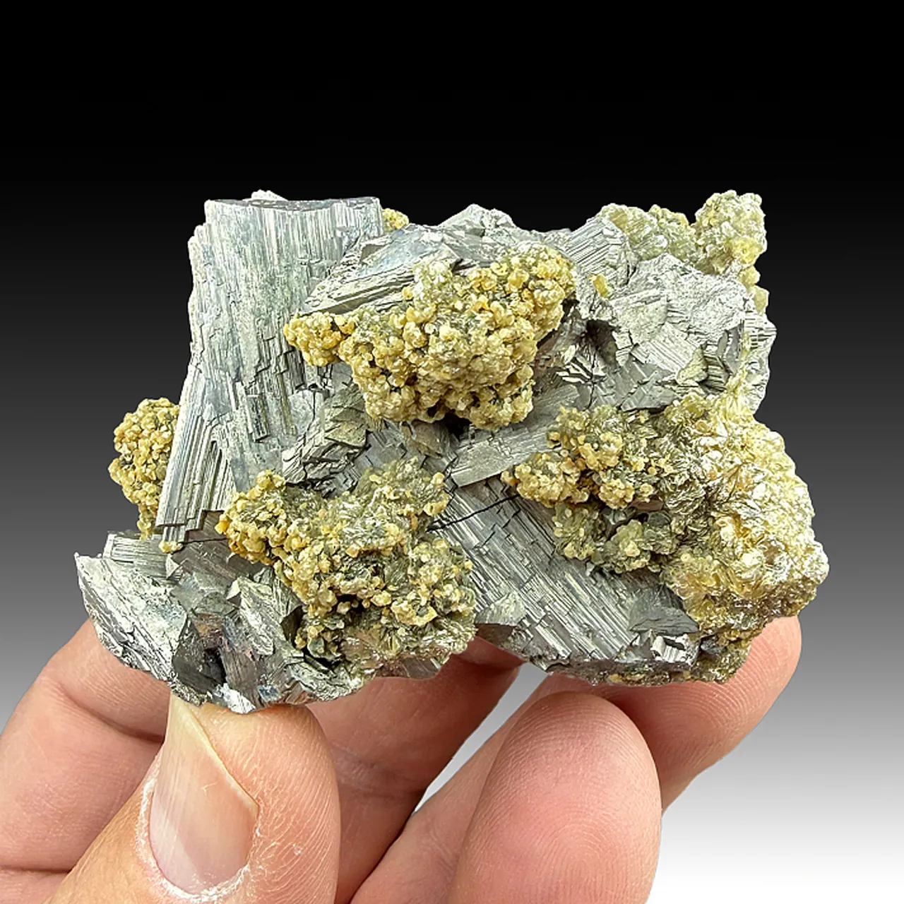 Arsenopyrite with Muscovite, Siderite - image 1