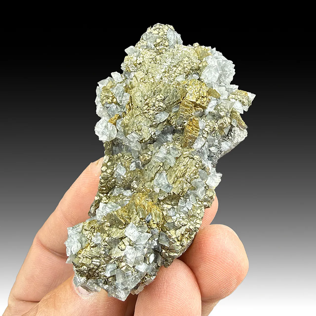 Arsenopyrite with Pyrite, Dolomite - image 1