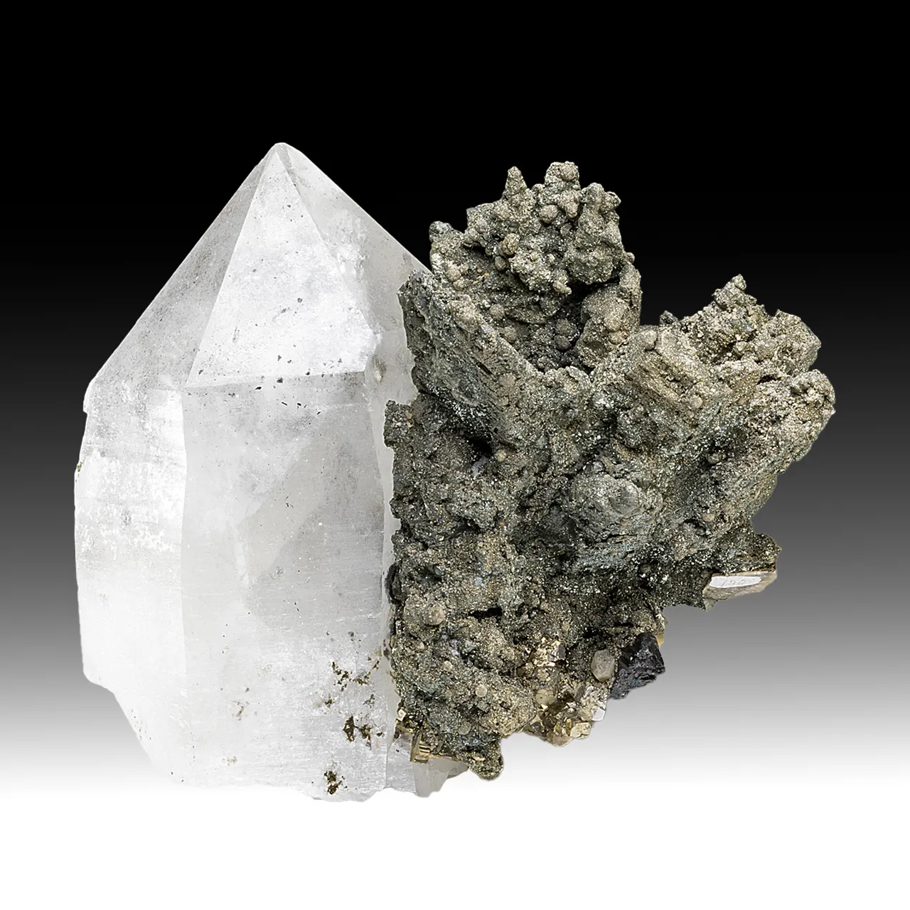 Arsenopyrite with Pyrite, Quartz, Ferberite, Siderite - image 1