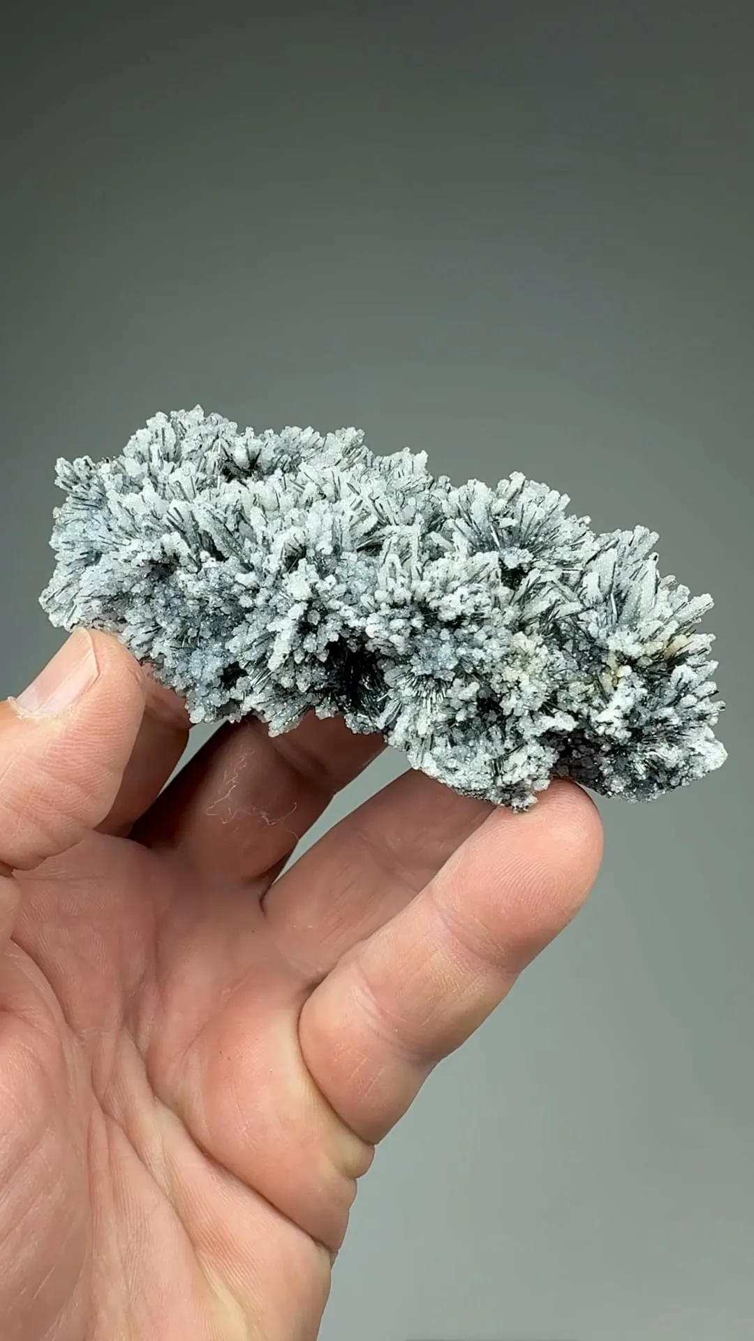 Arsenopyrite with Quartz - image 2