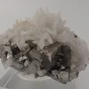 Arsenopyrite with Quartz - image 2