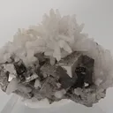 Arsenopyrite with Quartz - image 3
