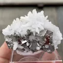 Arsenopyrite with Quartz - image 5