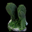Arsentsumebite ps after Mimetite - image 3