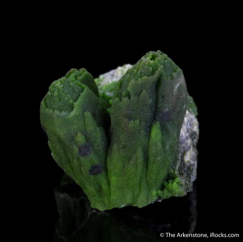 Arsentsumebite ps after Mimetite - image 2