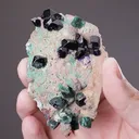 Arsentsumebite with Azurite and Malachite - image 2