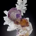 Artistic Shangbao - image 2