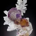 Artistic Shangbao - image 1