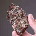 Astrophyllite - image 2