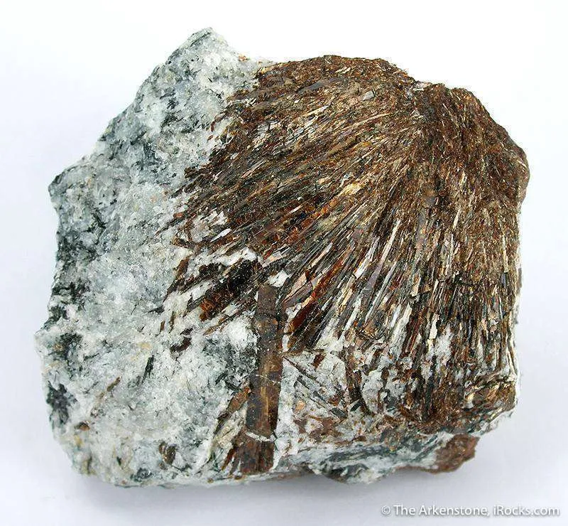 Astrophyllite image